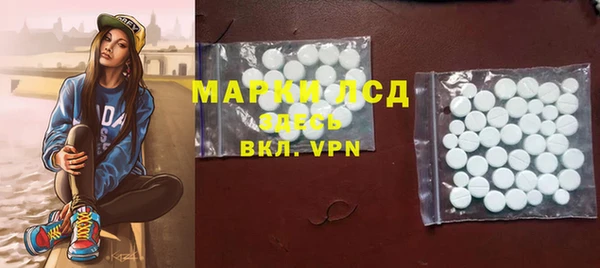 шишки Горнозаводск