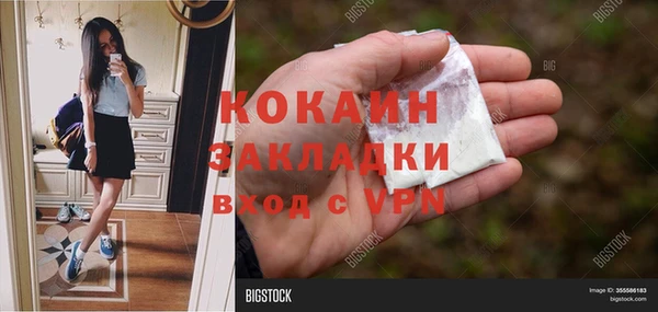 дживик Горняк
