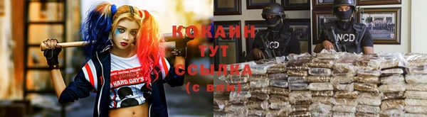 шишки Горнозаводск