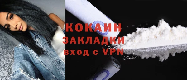 шишки Горнозаводск