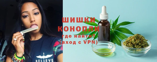 дживик Горняк