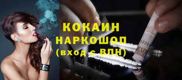 дживик Горняк