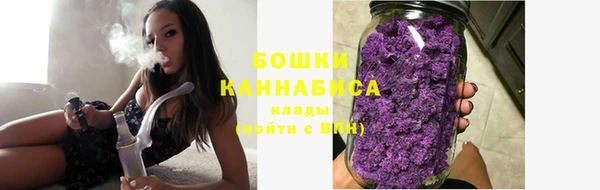 шишки Горнозаводск