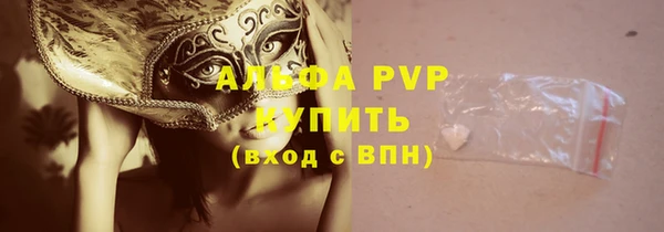 шишки Горнозаводск