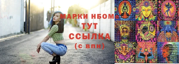 шишки Горнозаводск