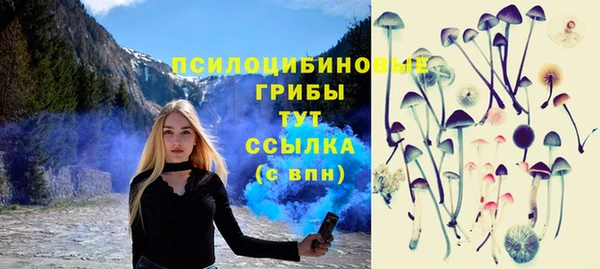 дживик Горняк