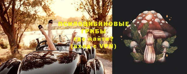 шишки Горнозаводск