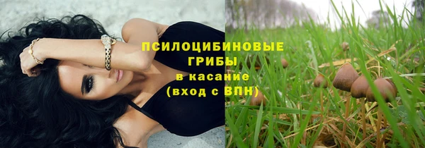 дживик Горняк