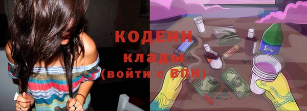 шишки Горнозаводск